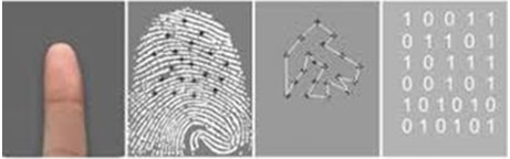 parmak izi tanıma
